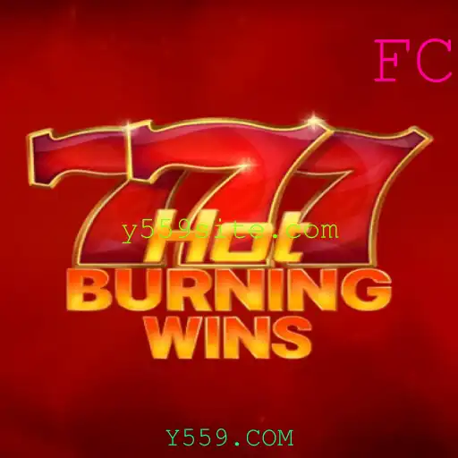 Explorando o Mundo de HotBurningWins: Um Guia Completo